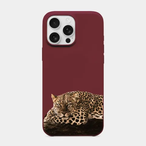 Dinlenen Leopar
