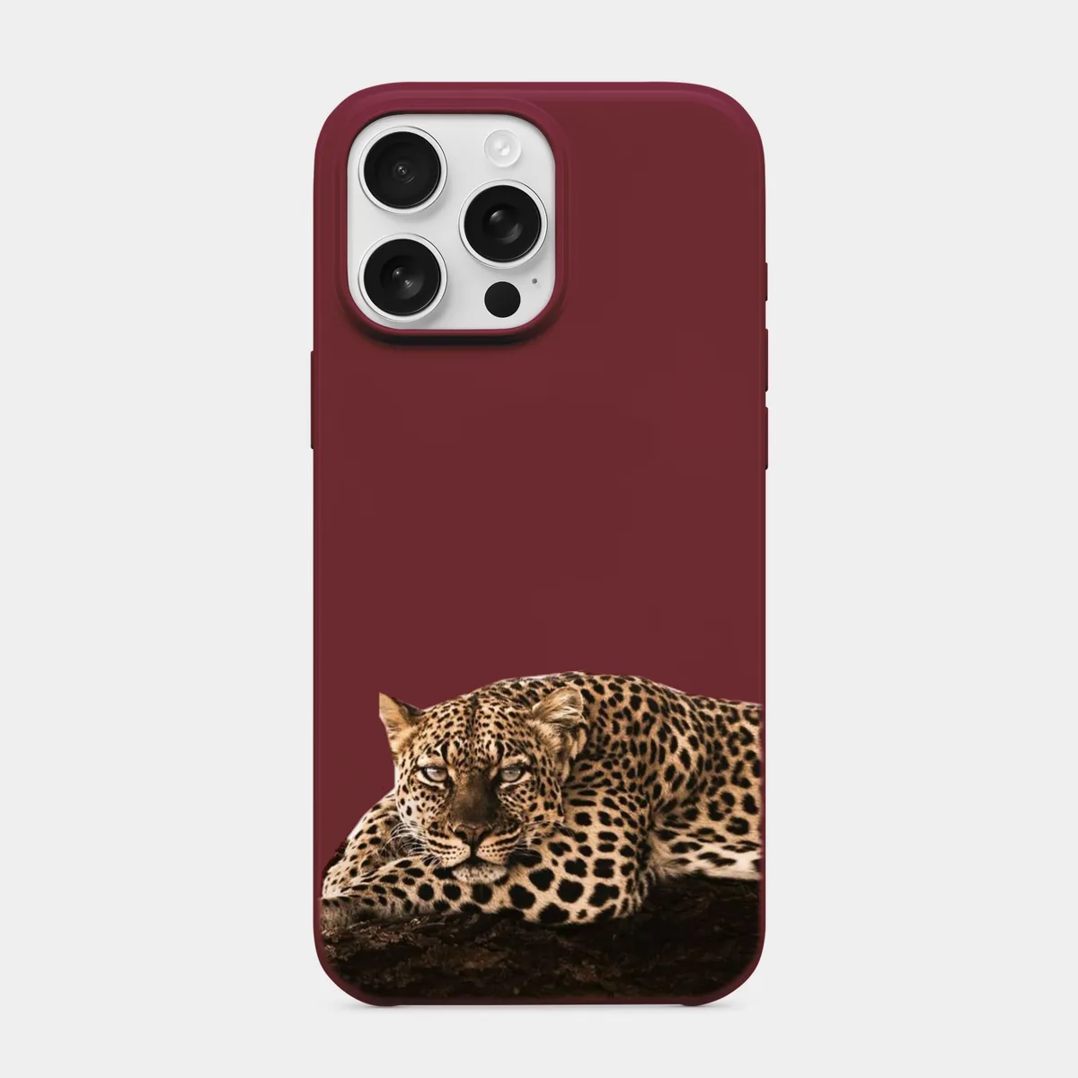 Dinlenen Leopar